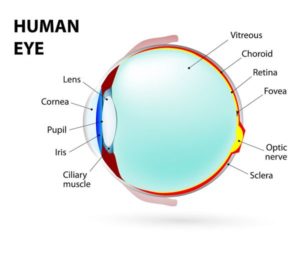 corneal diseases treatment nj corneal diseases treatment nj
